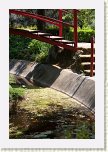 10 - 21 Gradina Botanica - Jibou  * 428 x 640 * (113KB)